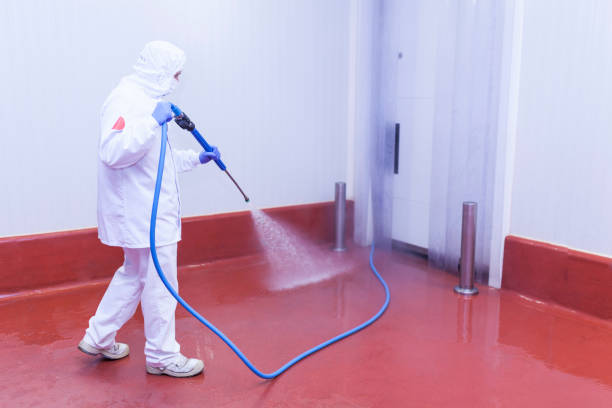 Best Graffiti Removal  in Arcadia, FL