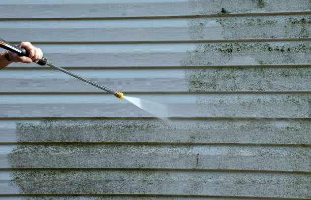 Best Fence Cleaning  in Arcadia, FL